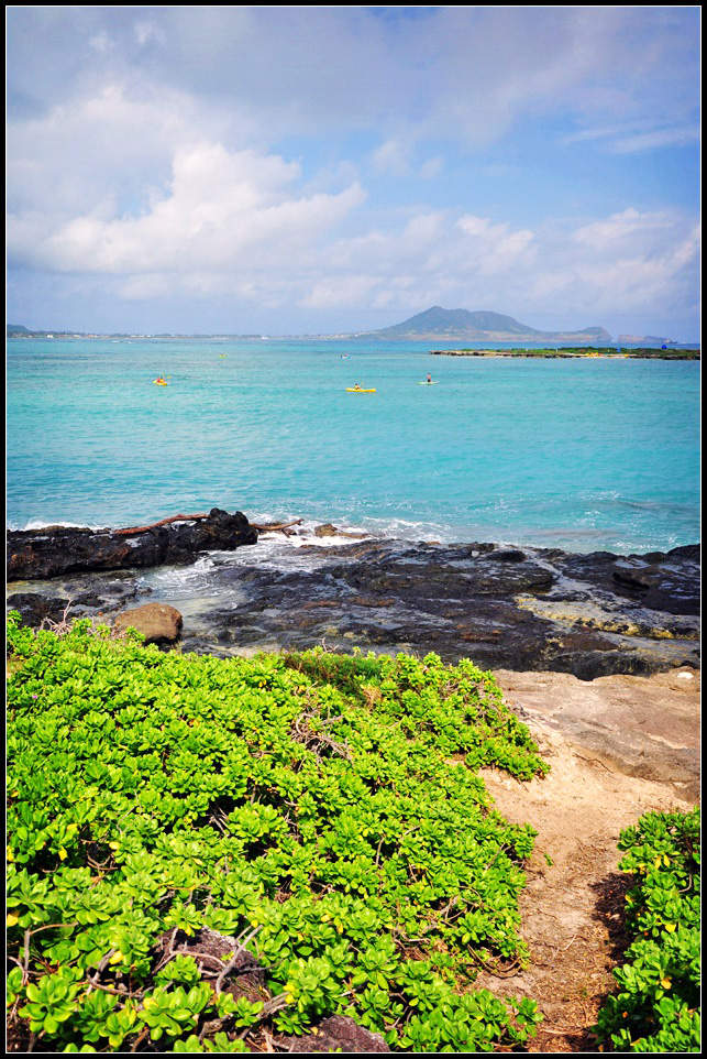 DSC_9228_1.jpg
