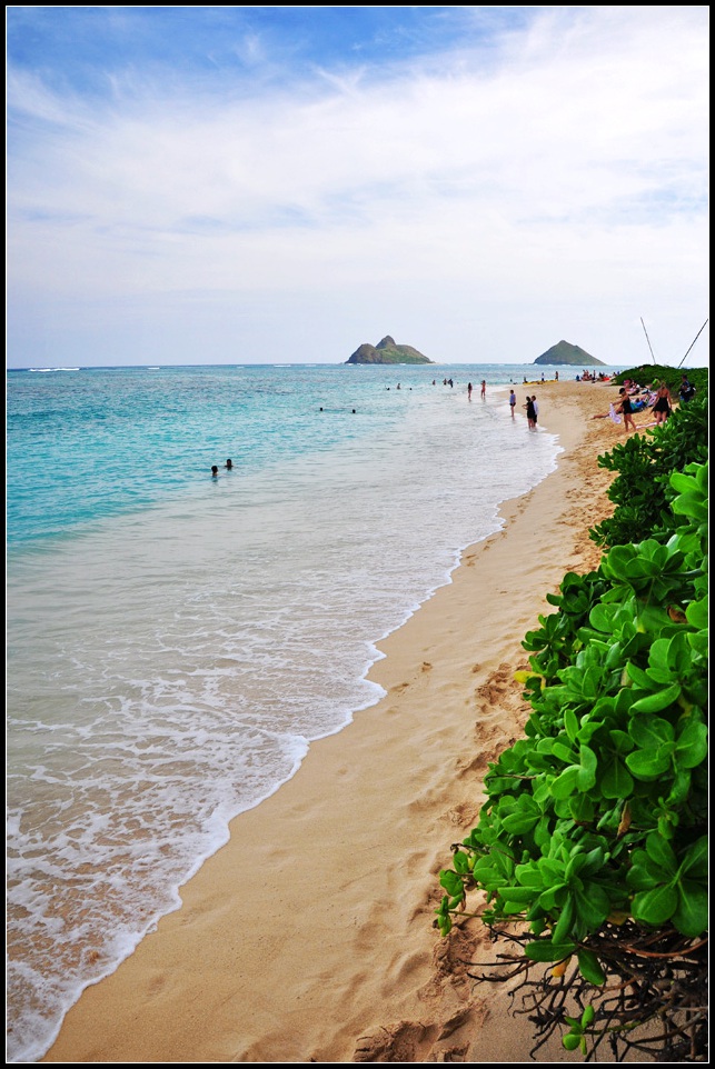 DSC_9254_1.jpg