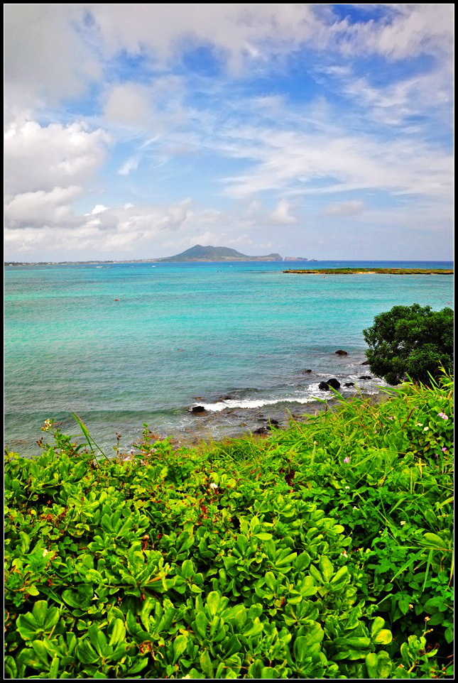 DSC_9312_1.jpg