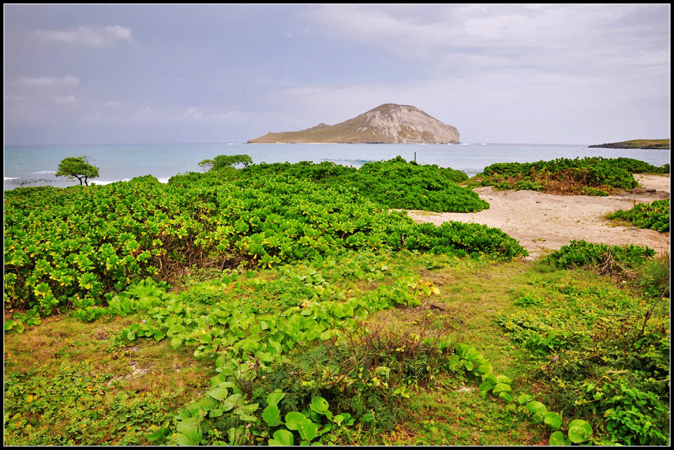 DSC_9346_1.jpg