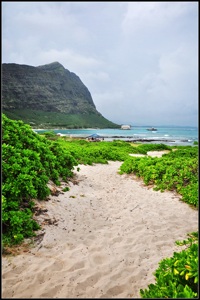 DSC_9364_1.jpg