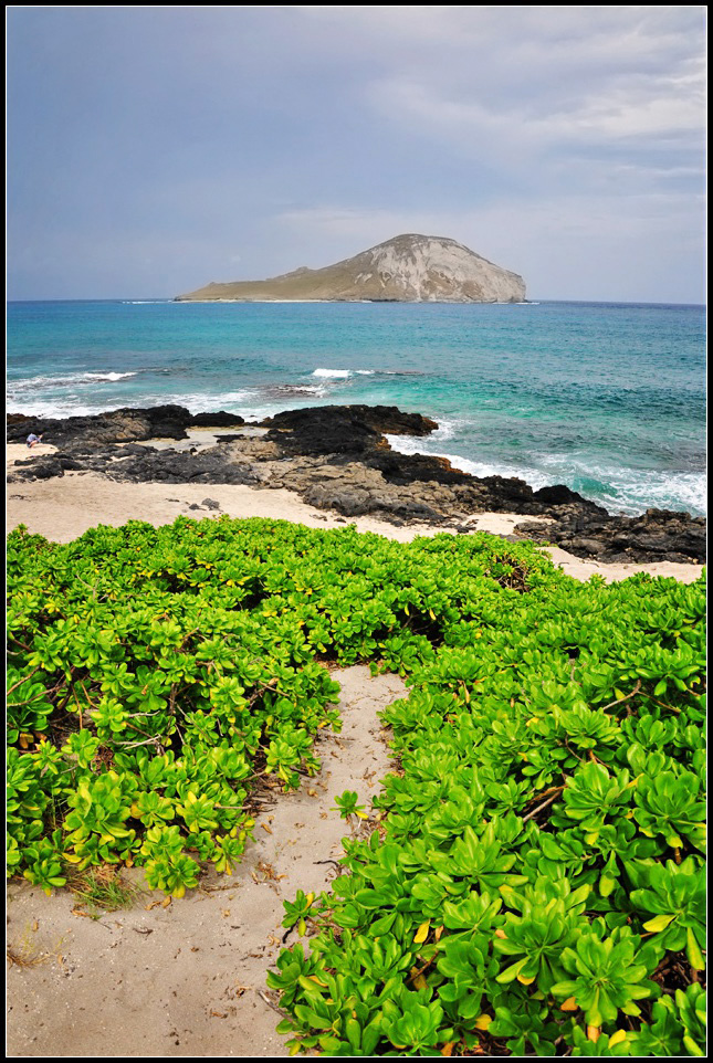 DSC_9365_1.jpg