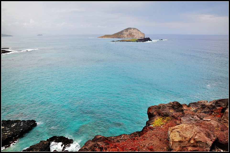 DSC_9375_1.jpg