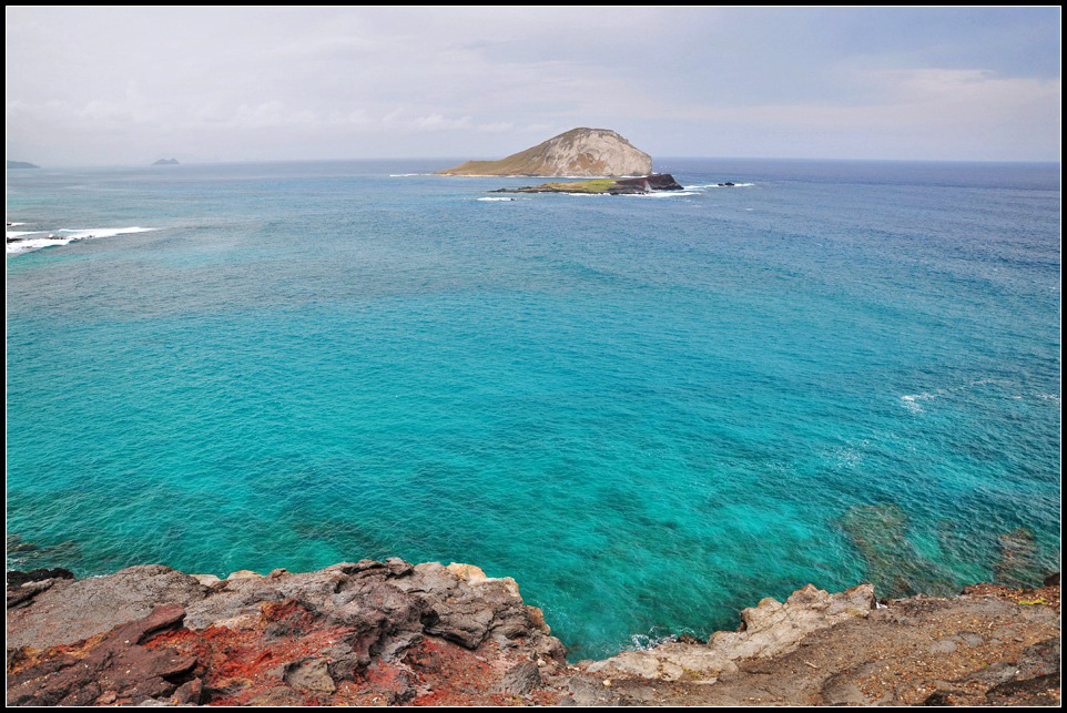 DSC_9384_1.jpg