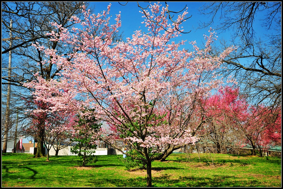 DSC_1408_1.jpg
