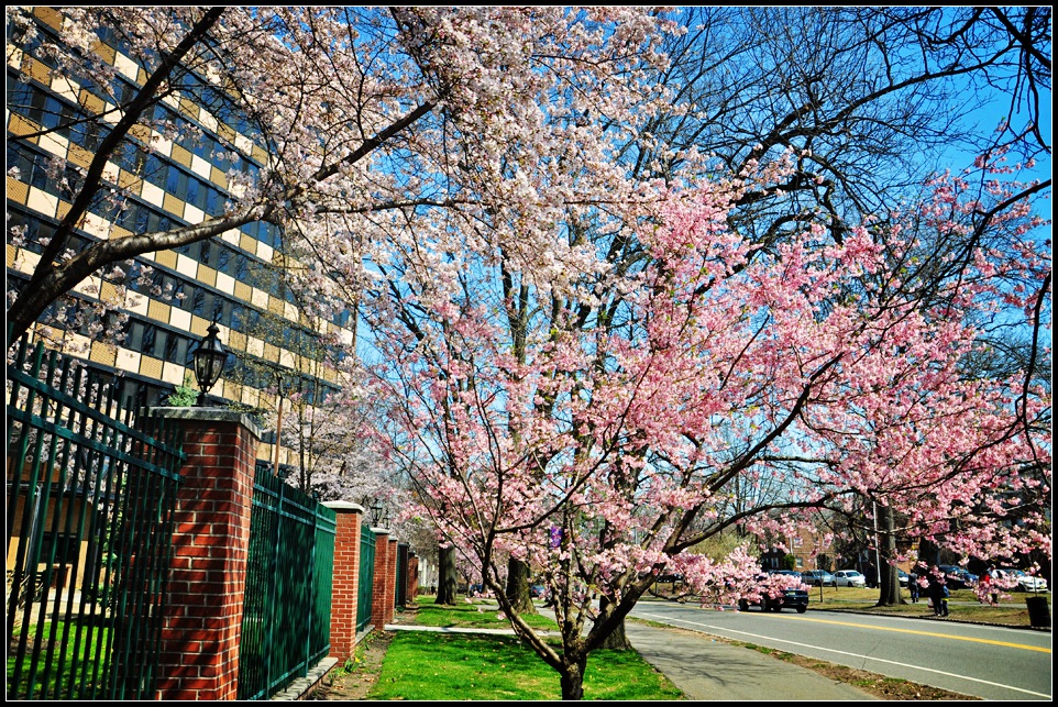 DSC_1451_1.jpg