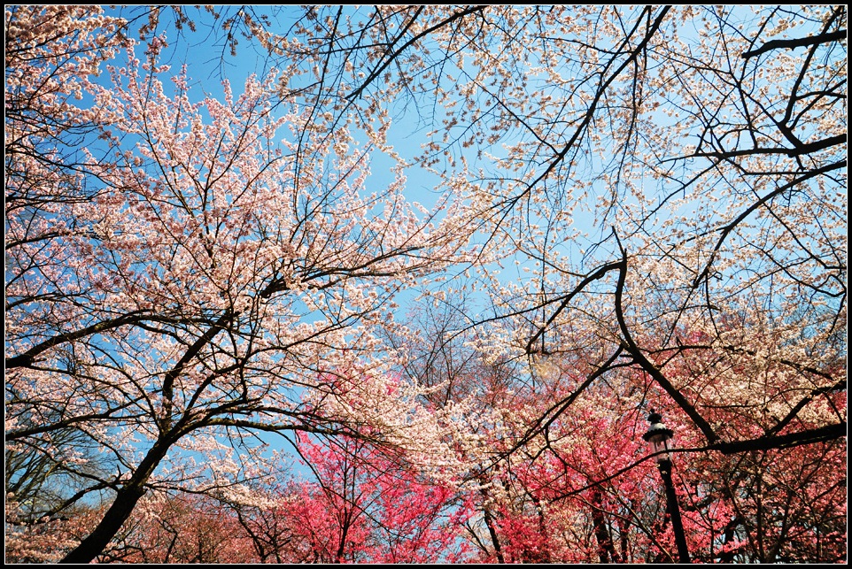 DSC_1584_1.jpg