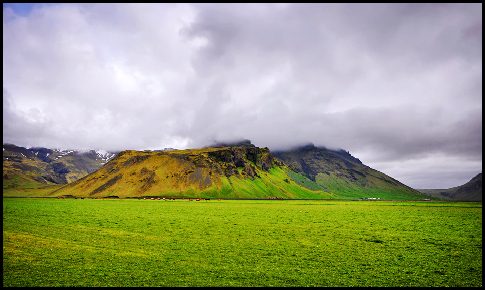 DSC_2122_1.jpg