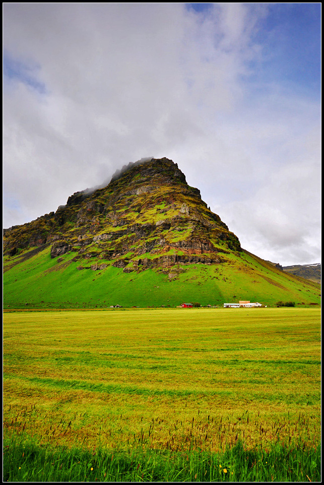 DSC_2125_1.jpg