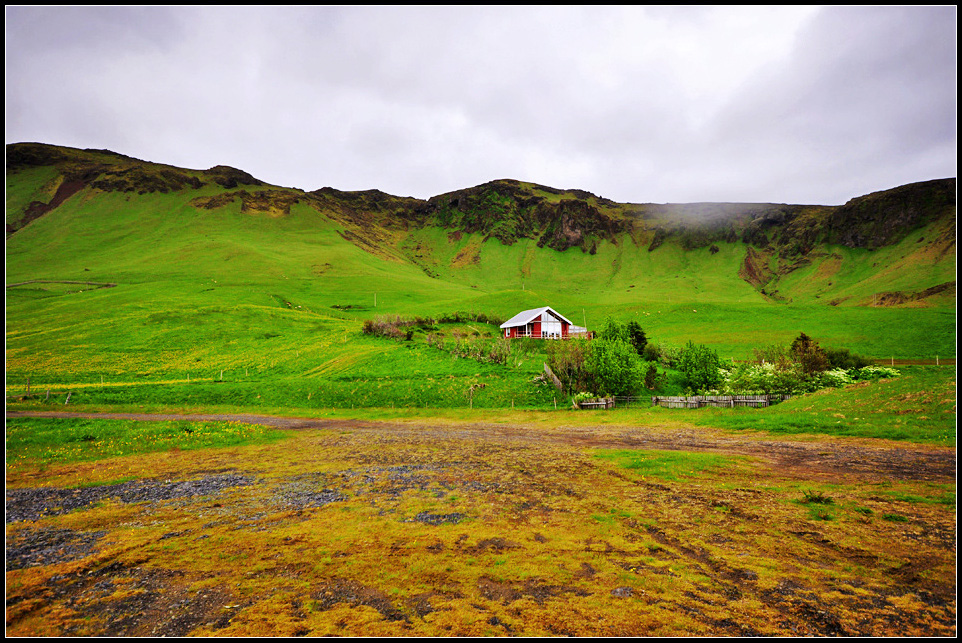 DSC_2207_1.jpg