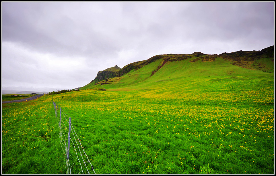 DSC_2213_1.jpg