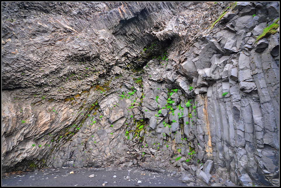 DSC_2231_1.jpg