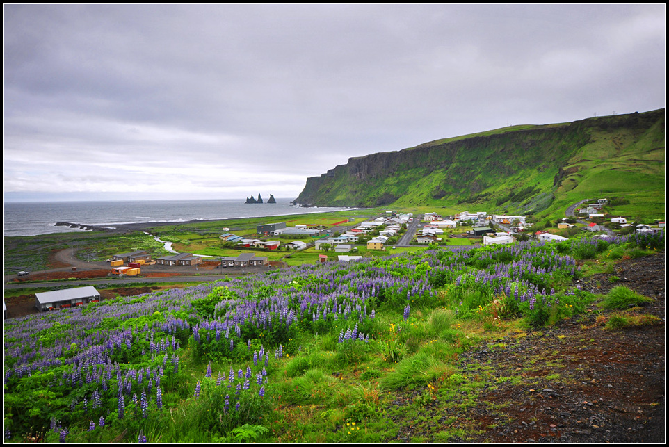DSC_2292_1.jpg