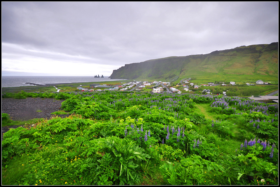 DSC_2306_1.jpg