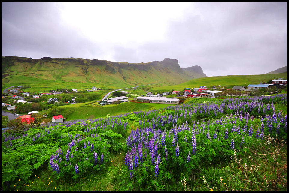 DSC_2318_1.jpg