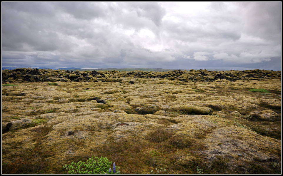 DSC_2340_1.jpg