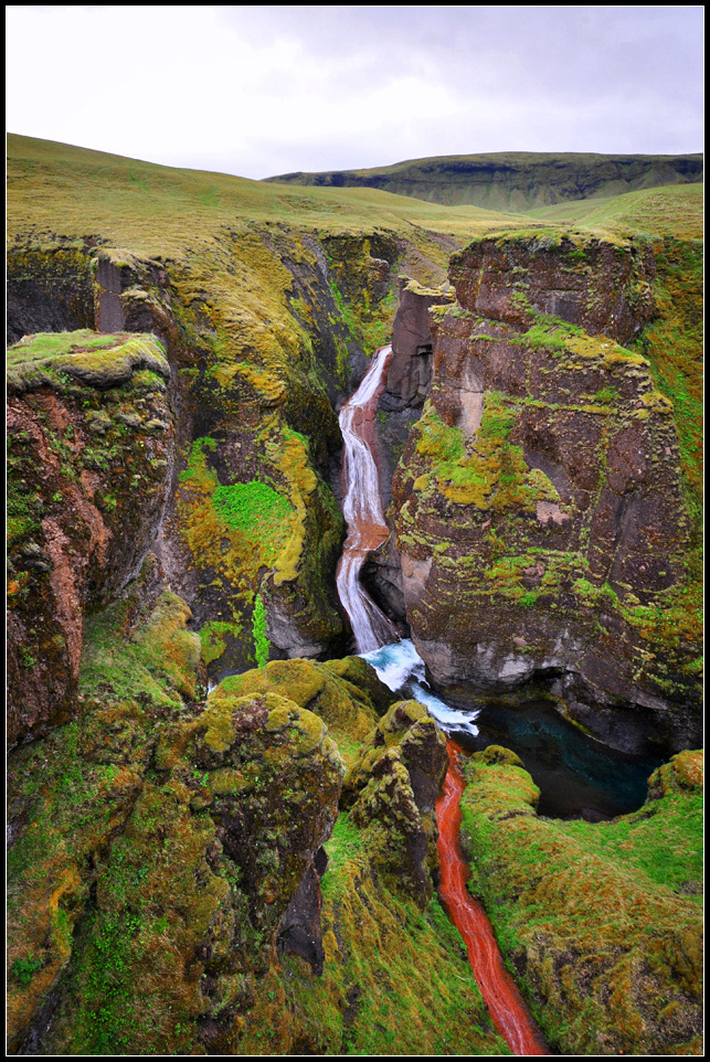 DSC_2408_1.jpg