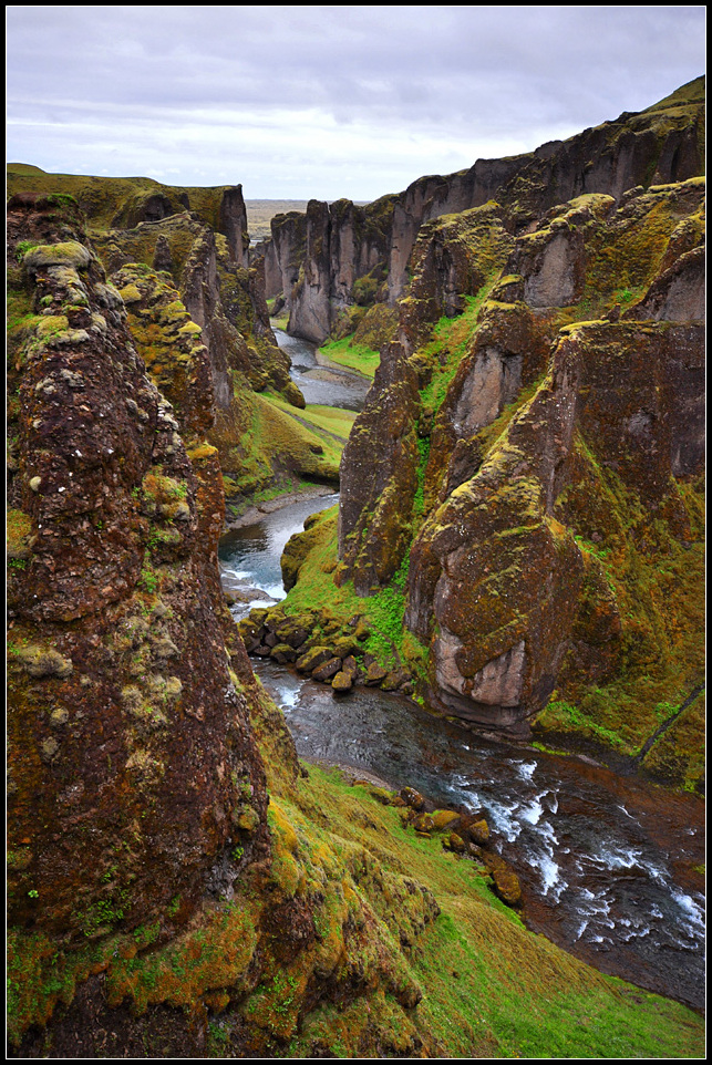 DSC_2426_1.jpg