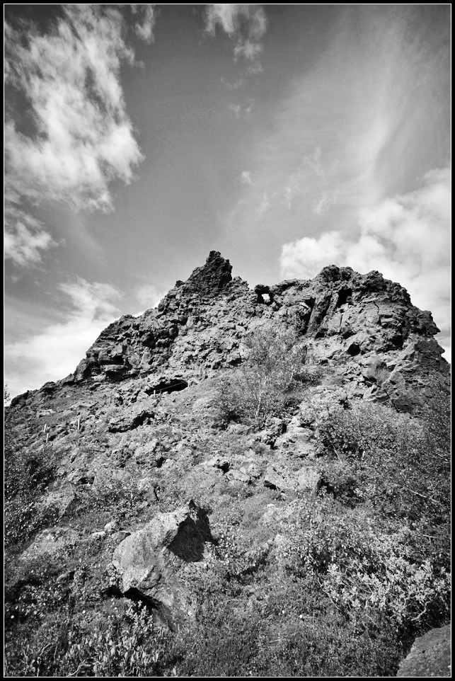 DSC_3144_1.jpg