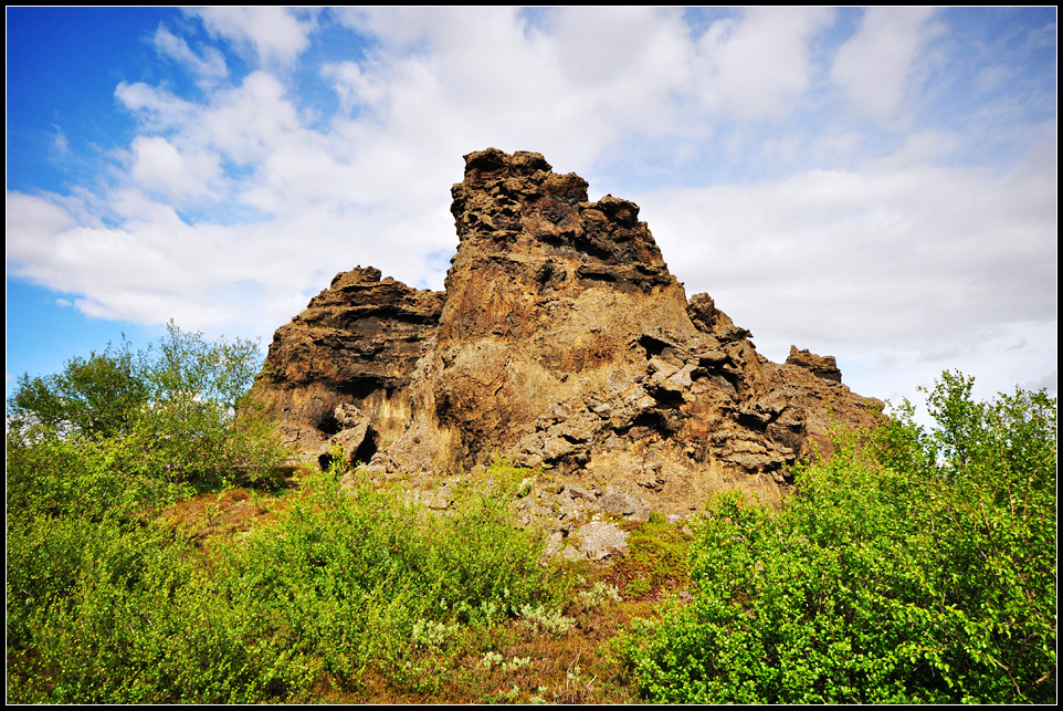 DSC_3151_1.jpg