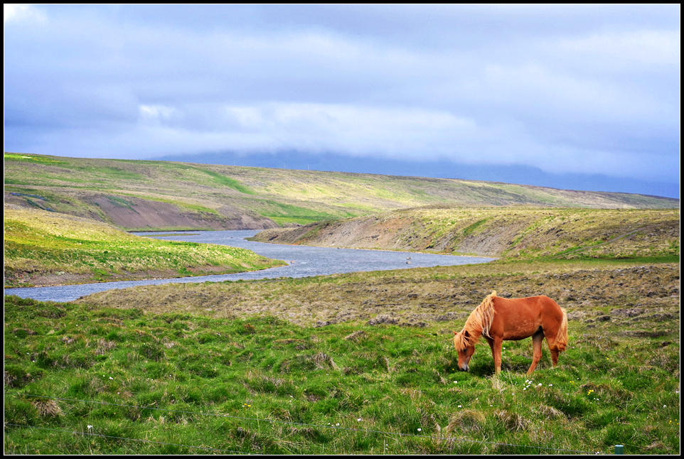 DSC_0828_1.jpg