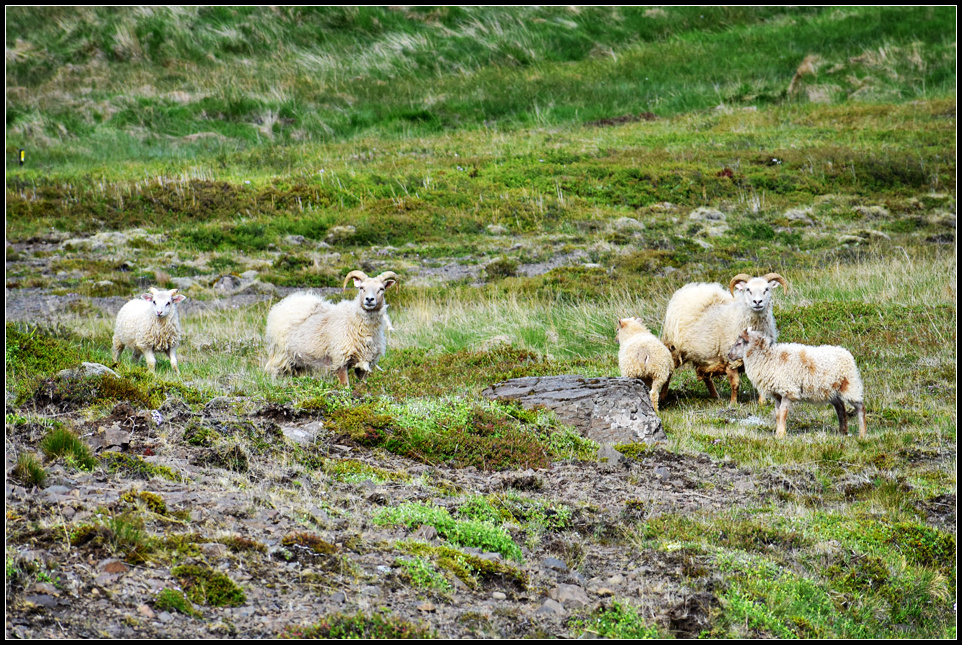 DSC_0853_1.jpg