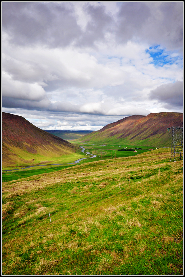 DSC_3411_1.jpg