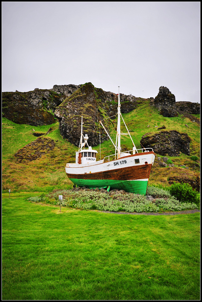 DSC_3791_1.jpg