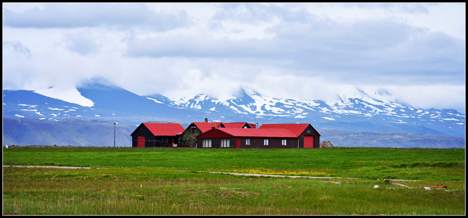 DSC_1131_1.jpg