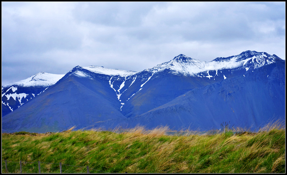 DSC_1206_1.jpg