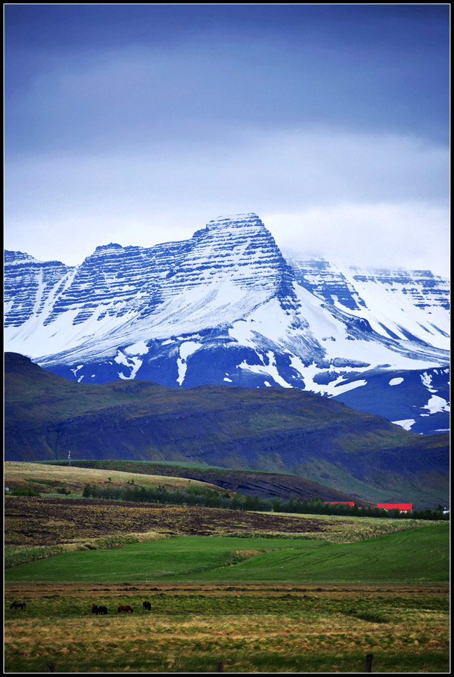DSC_1227_1.jpg