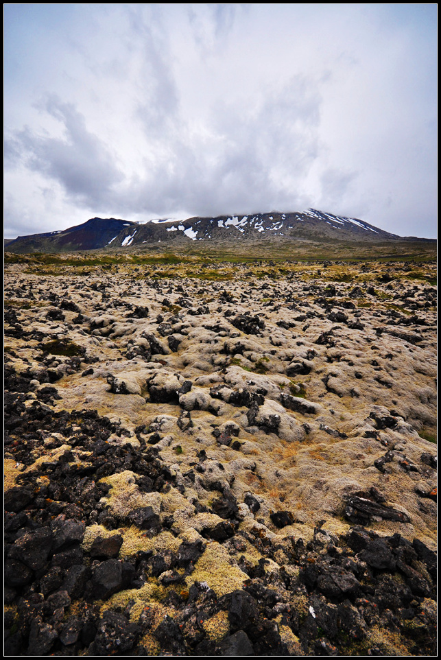 DSC_3850_1.jpg