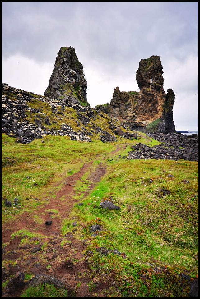 DSC_3944_1.jpg