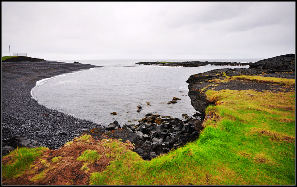 DSC_3979_1.jpg