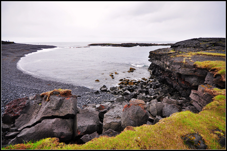 DSC_3981_1.jpg