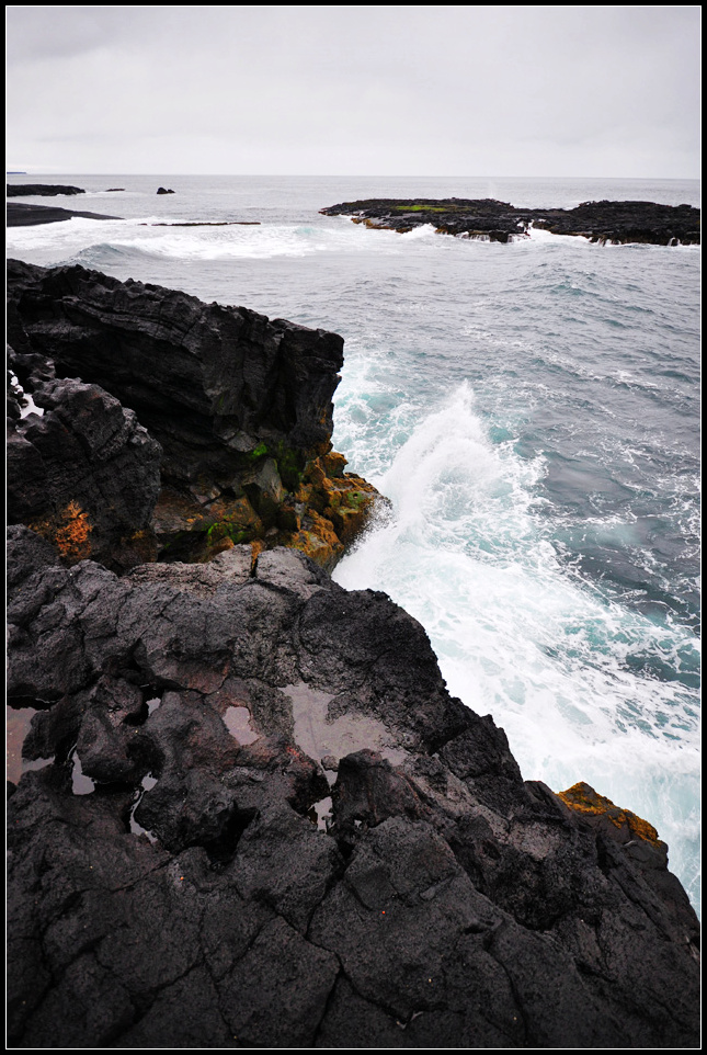 DSC_3999_1.jpg