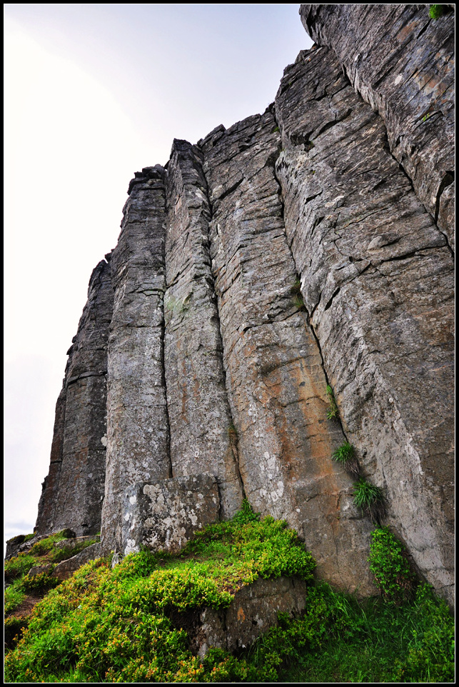 DSC_4194_1.jpg