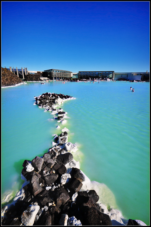 DSC_4441_1.jpg