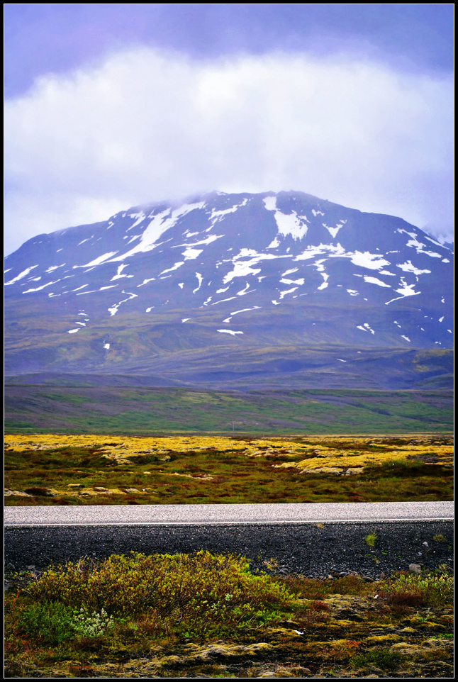 DSC_0017_1.jpg