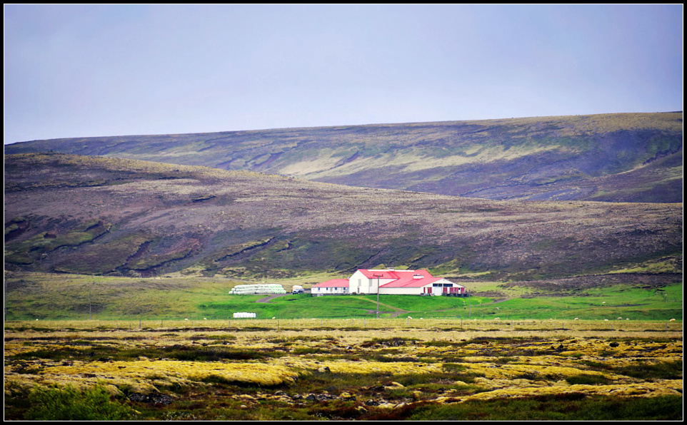 DSC_0032_1.jpg