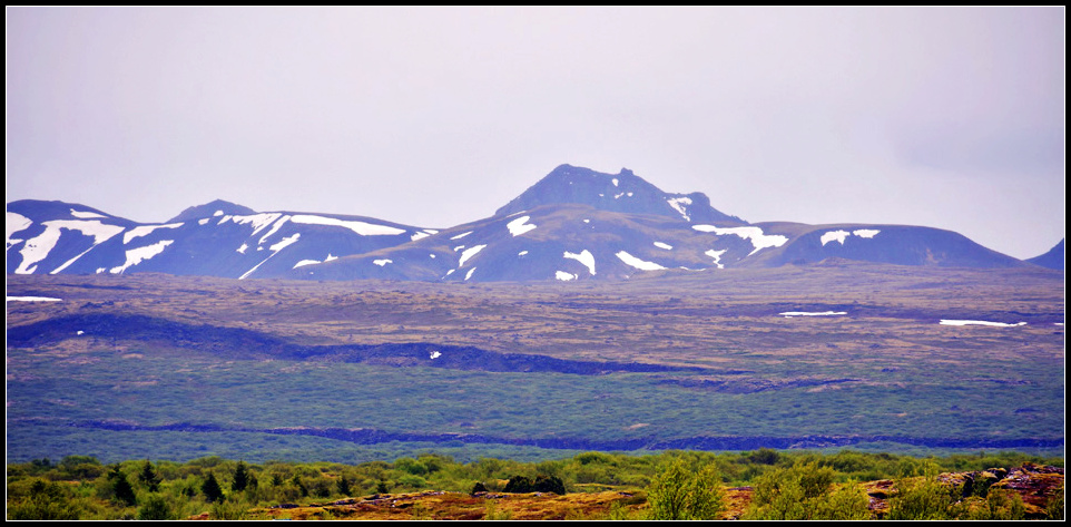 DSC_0113_1.jpg