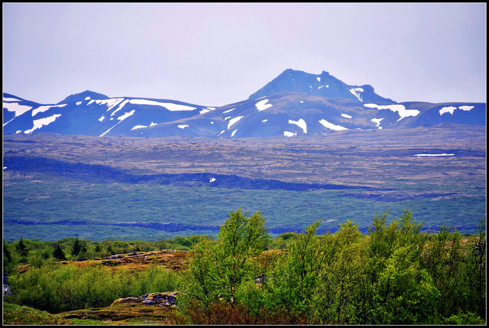 DSC_0115_1.jpg