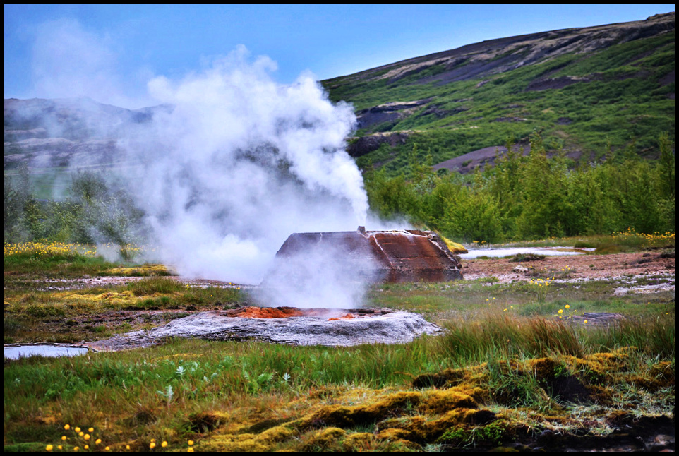 DSC_0184_1.jpg