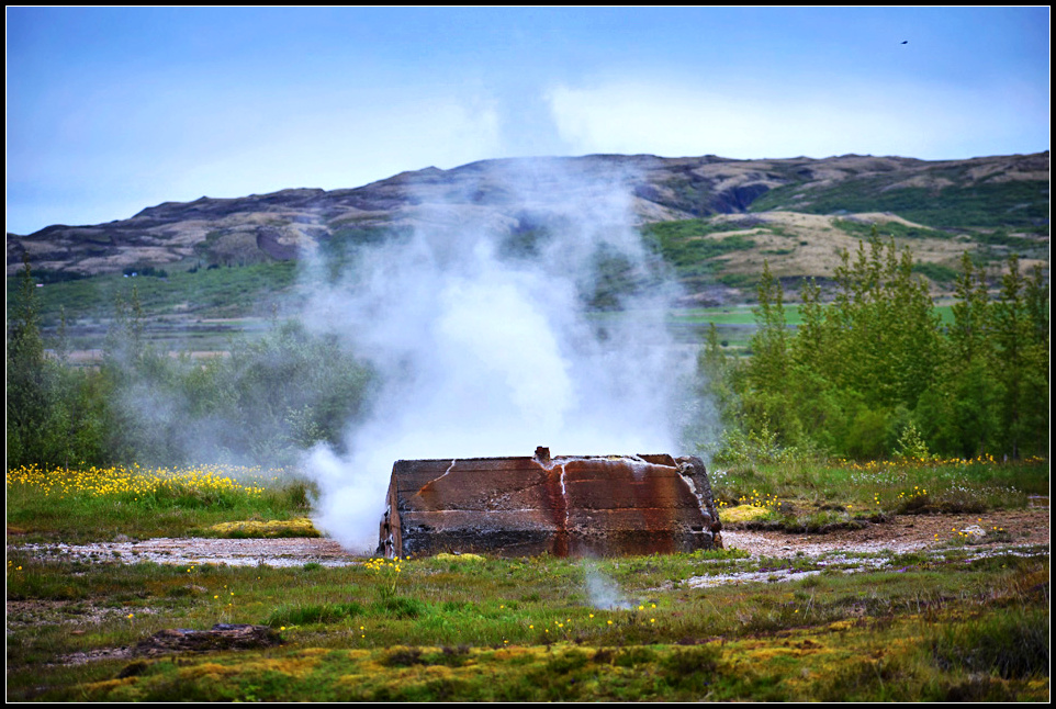 DSC_0186_1.jpg