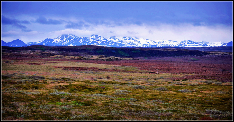 DSC_0212_1.jpg