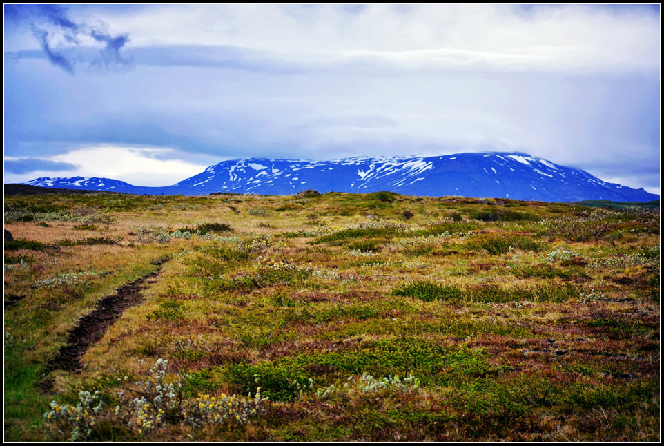 DSC_0213_1.jpg