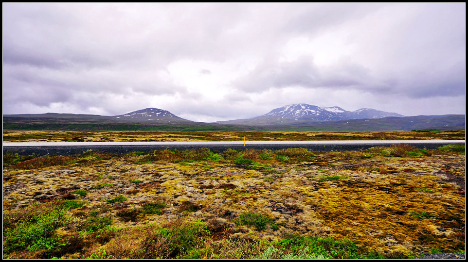 DSC_1703_1.jpg