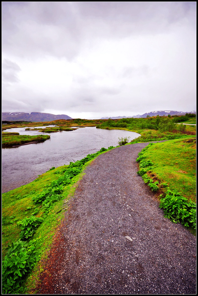 DSC_1731_1.jpg