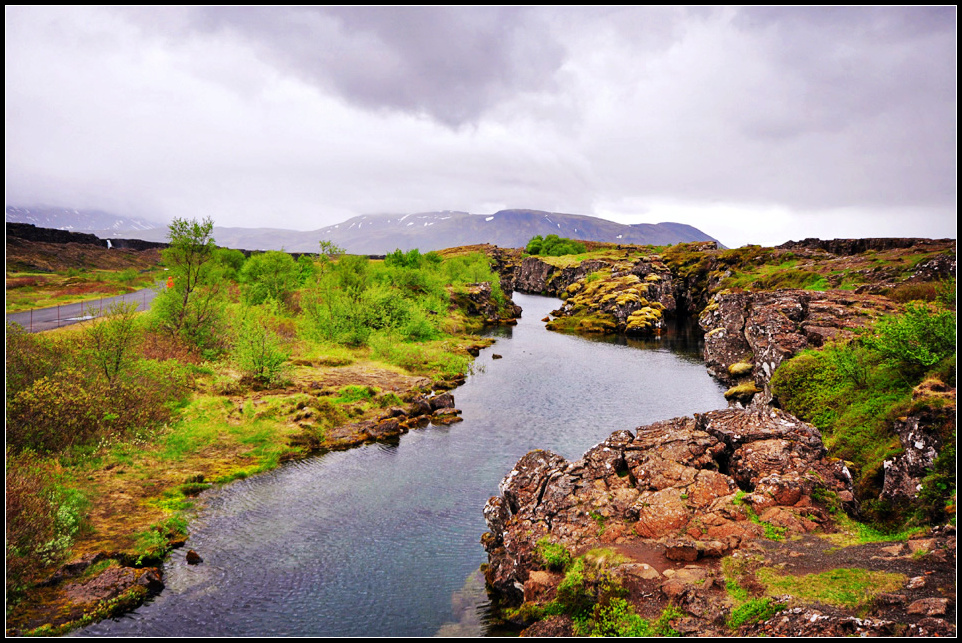 DSC_1742_1.jpg