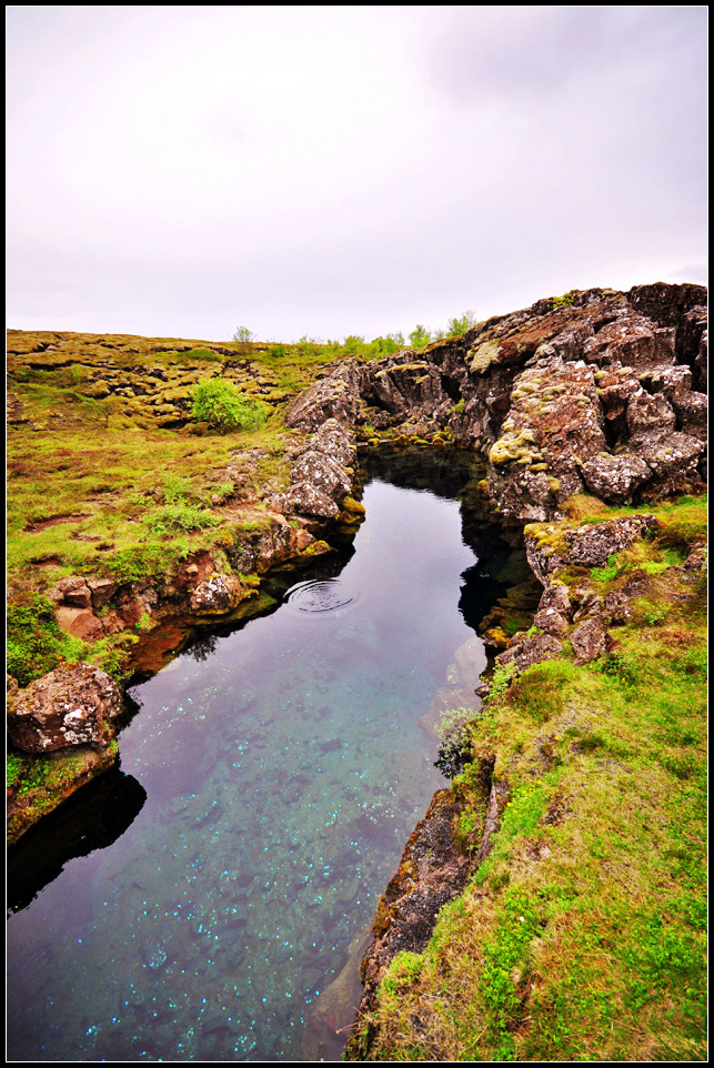 DSC_1745_1.jpg